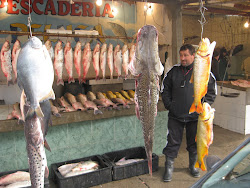 PESCADO PODRIDO