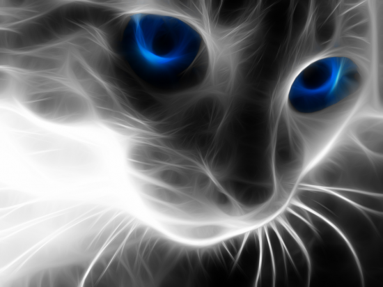 funny cartoon faces. http:// funny animal names. funny cartoon faces. http://