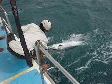 Marlin Released, Ujung Kulon, October 2008