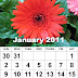January Horoscope 2011