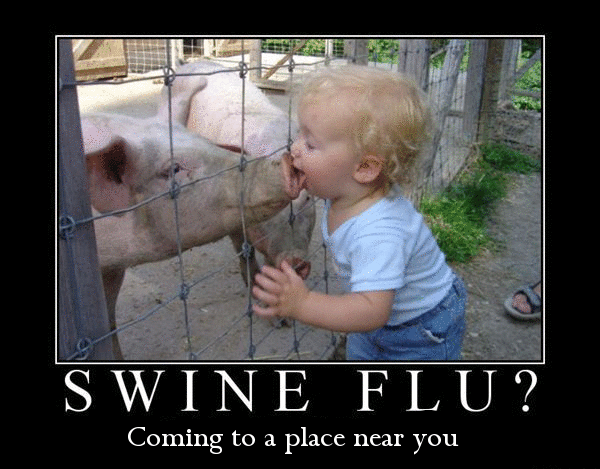 [Swine_Flu_coming-to-you.gif]