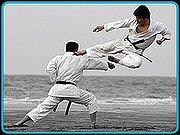 Karate Sparring