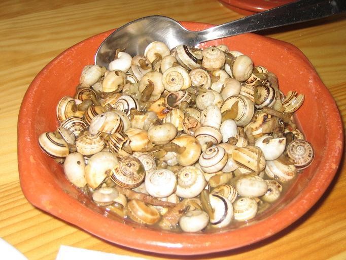 caracois_dual.jpg
