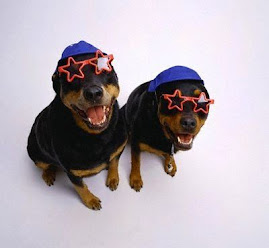 Awesome Dogs