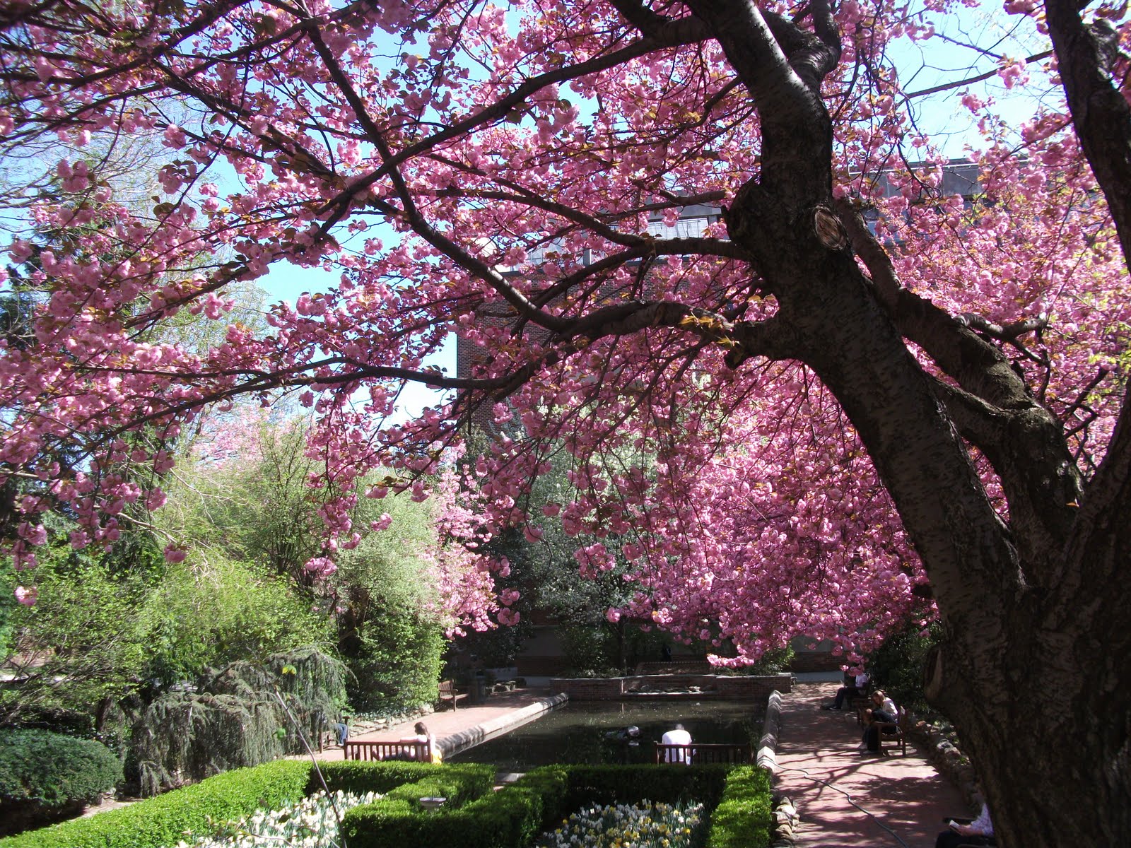 1000 Images About Brooklyn Botanical Garden On Pinterest 400 x 300