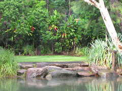 Upper Stony Creek