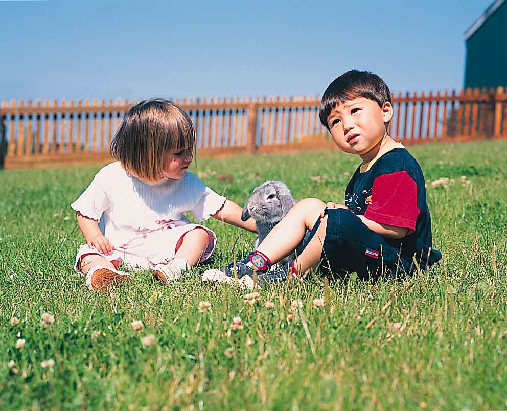 [ANIMAL+rabbits+02.JPG]