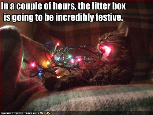 [funny-pictures-cat-eats-coloured-light-bulbs.jpg]