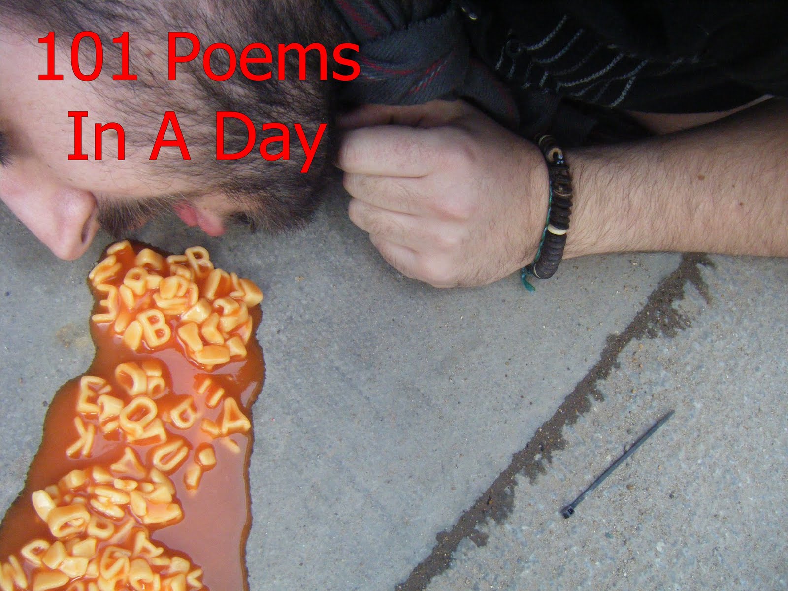 101 Poems In A Day