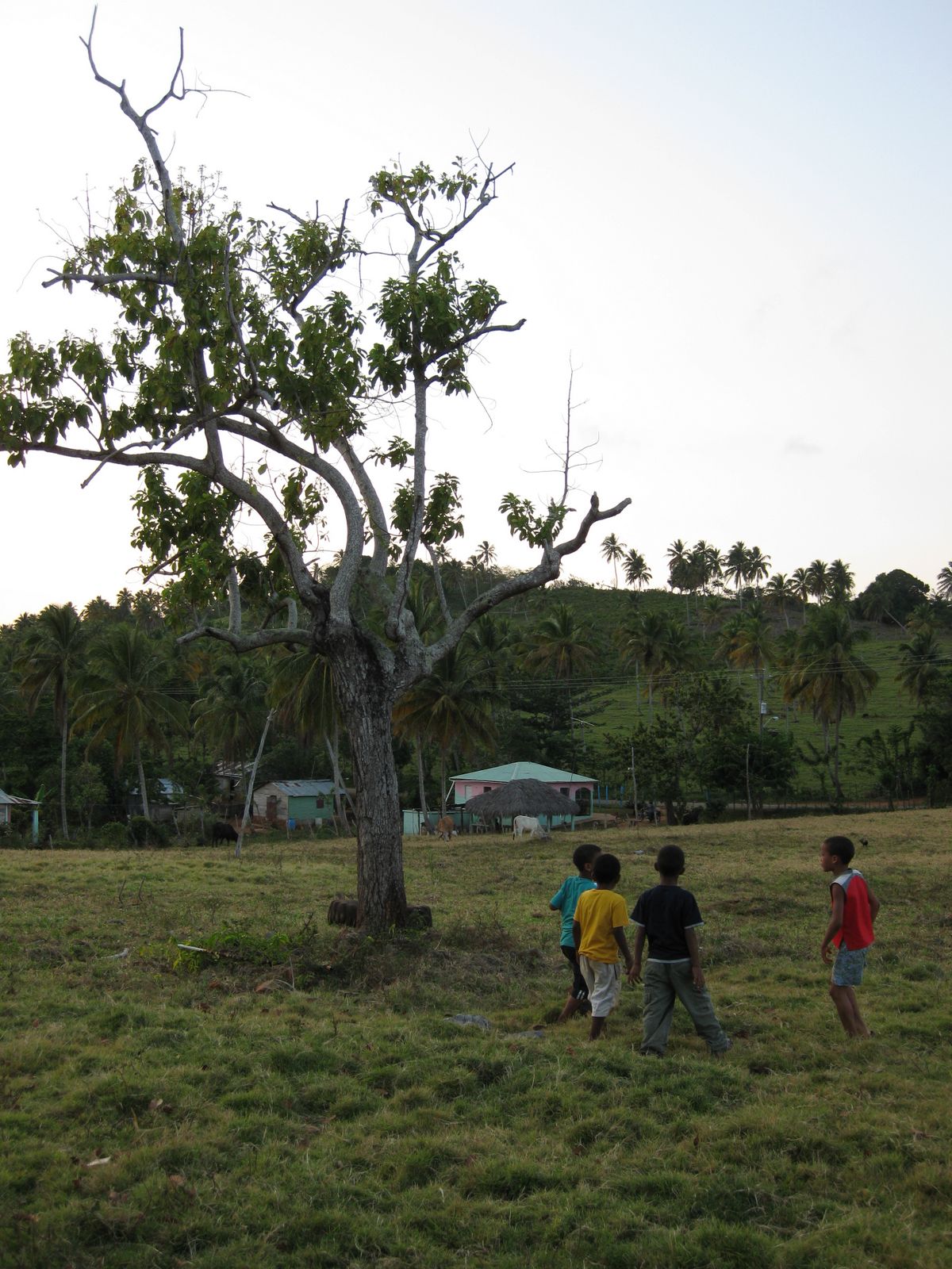 [IMG_0414.JPG]