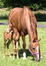 Mother-Daughter Magic