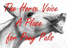 The Horse Voice - a place for pony pals