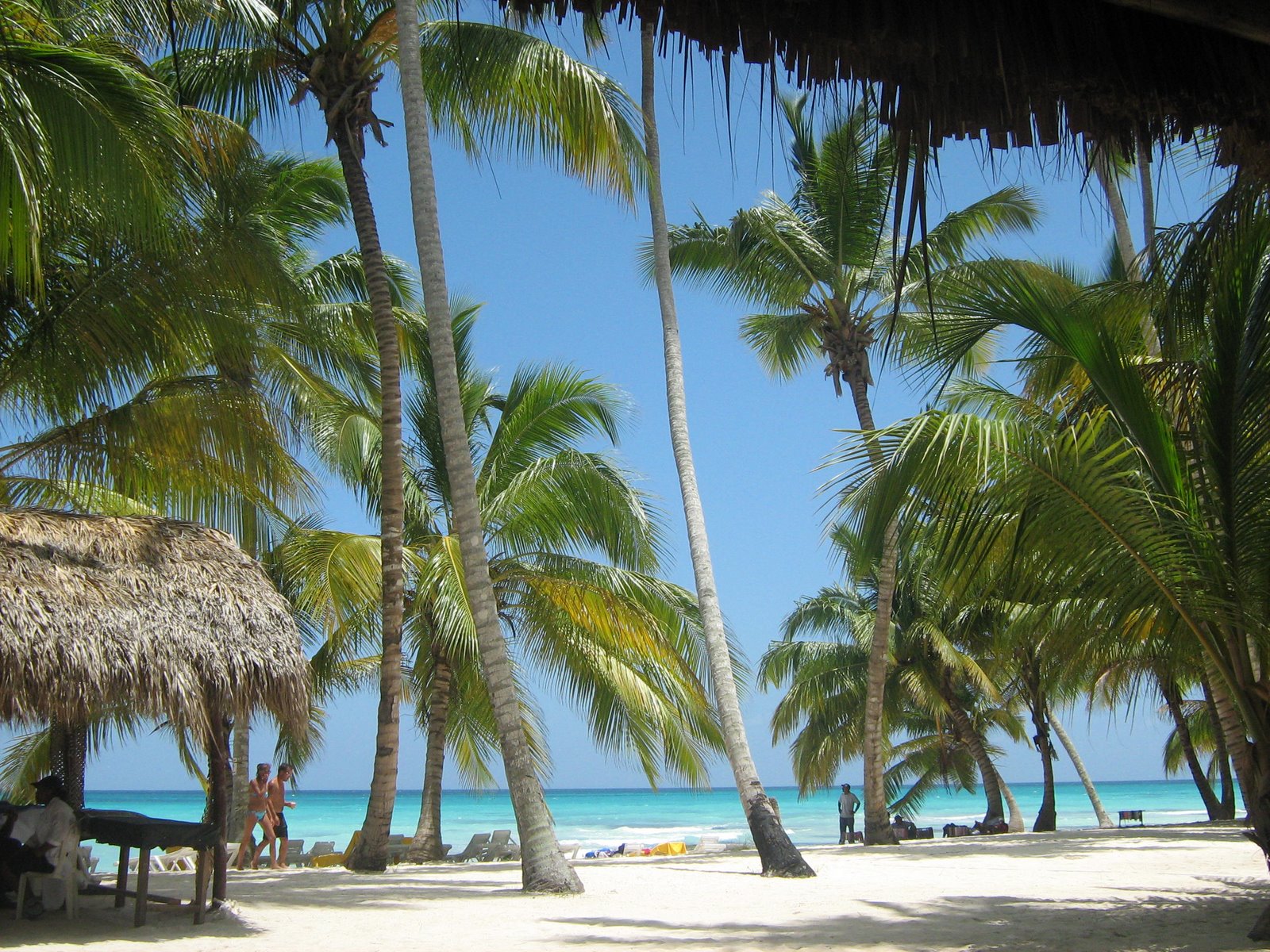 [ISLA+SAONA+pa+la+tercera+vez+045.jpg]