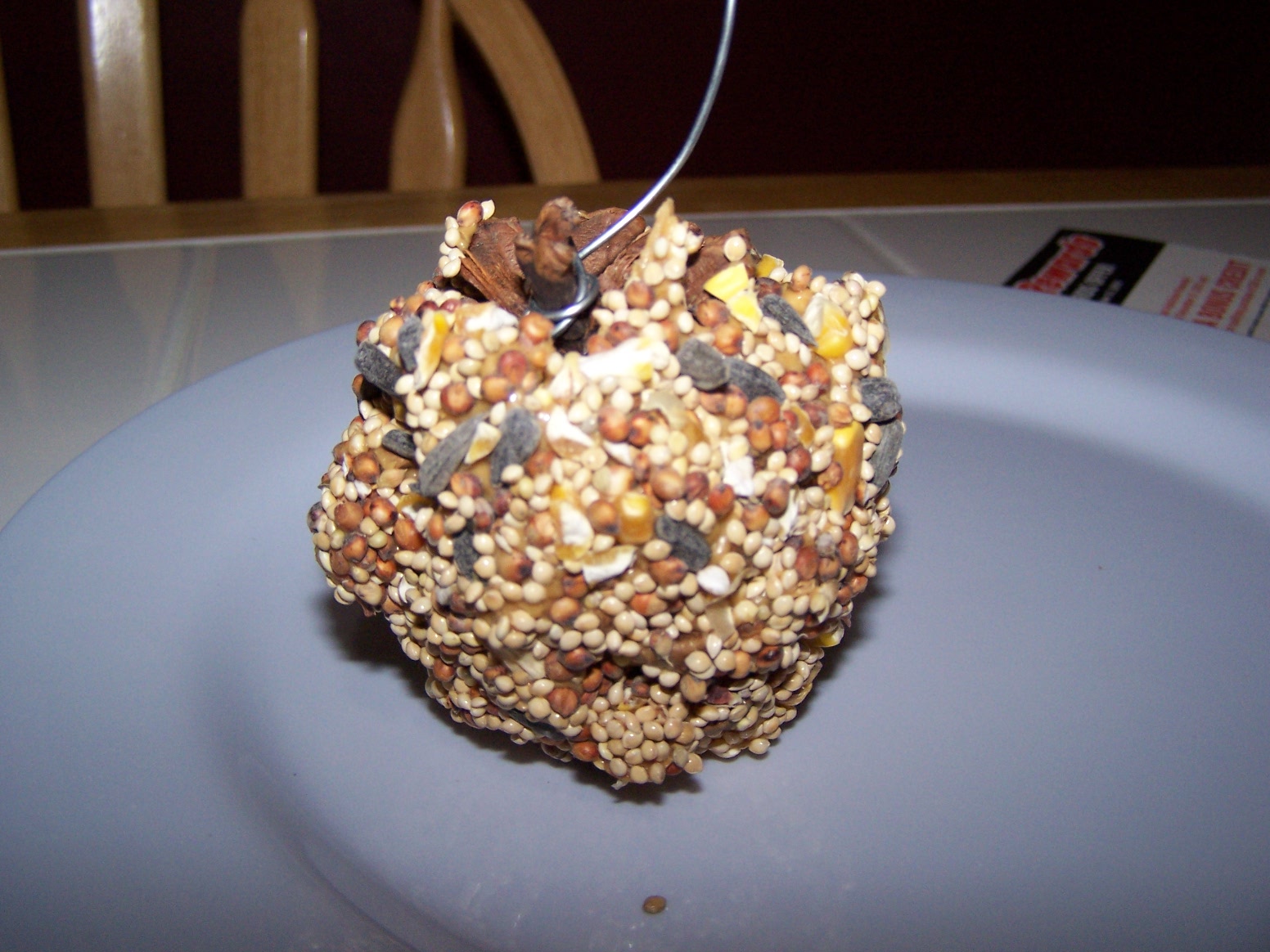 Nitty Gritty Pretty Bird Seed Ornaments