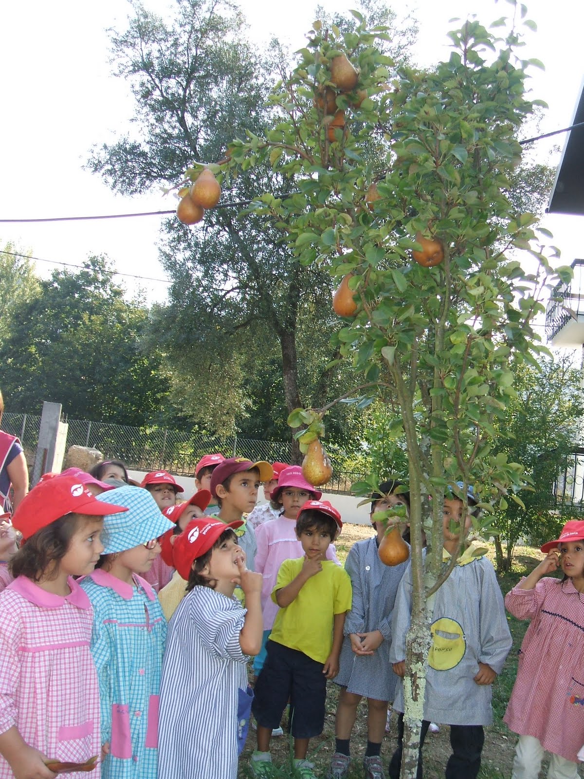 [DSCF1461.JPG]