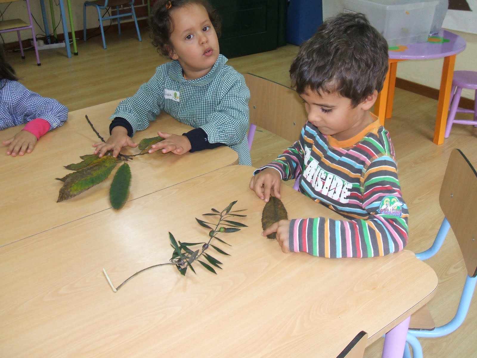 [DSCF1596.JPG]