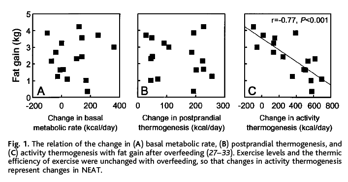 Health Correlator: Nonexercise activities like fidgeting may account