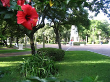 Plaza Libertad Sunchales