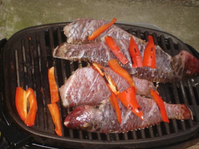 [DSC02361.JPG]