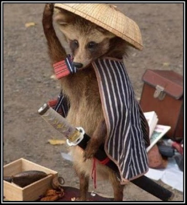 samurai_raccoons.jpg