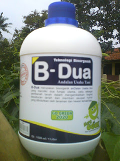 hormon organik b-dua
