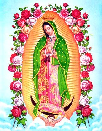 Imagenes Rosas Para Lupita | foro colungateam Imagenes Rosas Para Lupita | foro colungateam