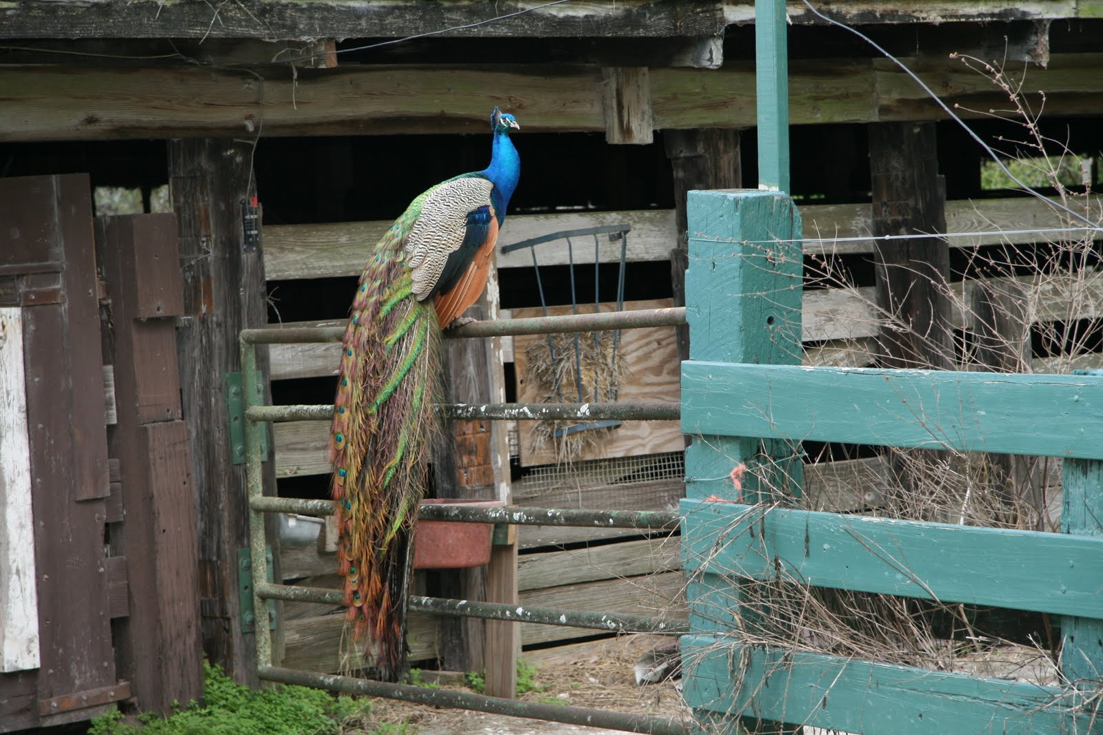 [IMG_7724.JPG]