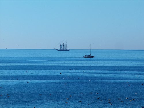 [1890104819_a8ac02a032.jpg]