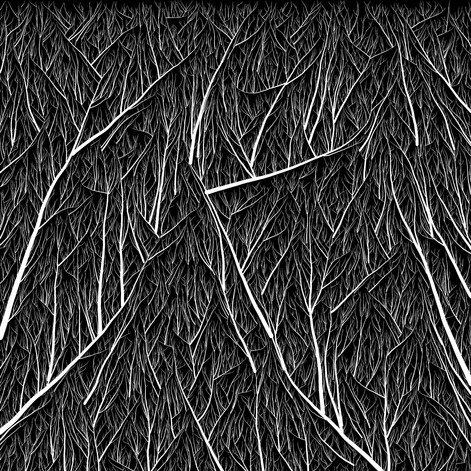 Drawing Lines In Processing : Elle ruth gound monochromatic mathematical art