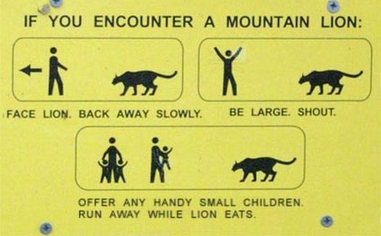 [lion_20info.jpg]
