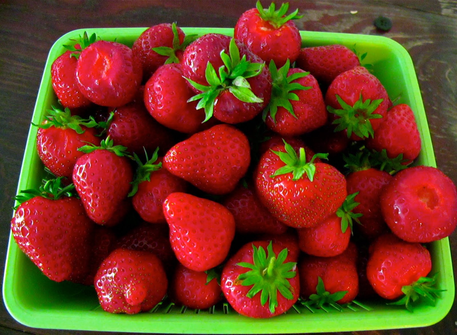 Beautiful Vancouver , Canada Strawberry Farm in Richmond , Vancouver