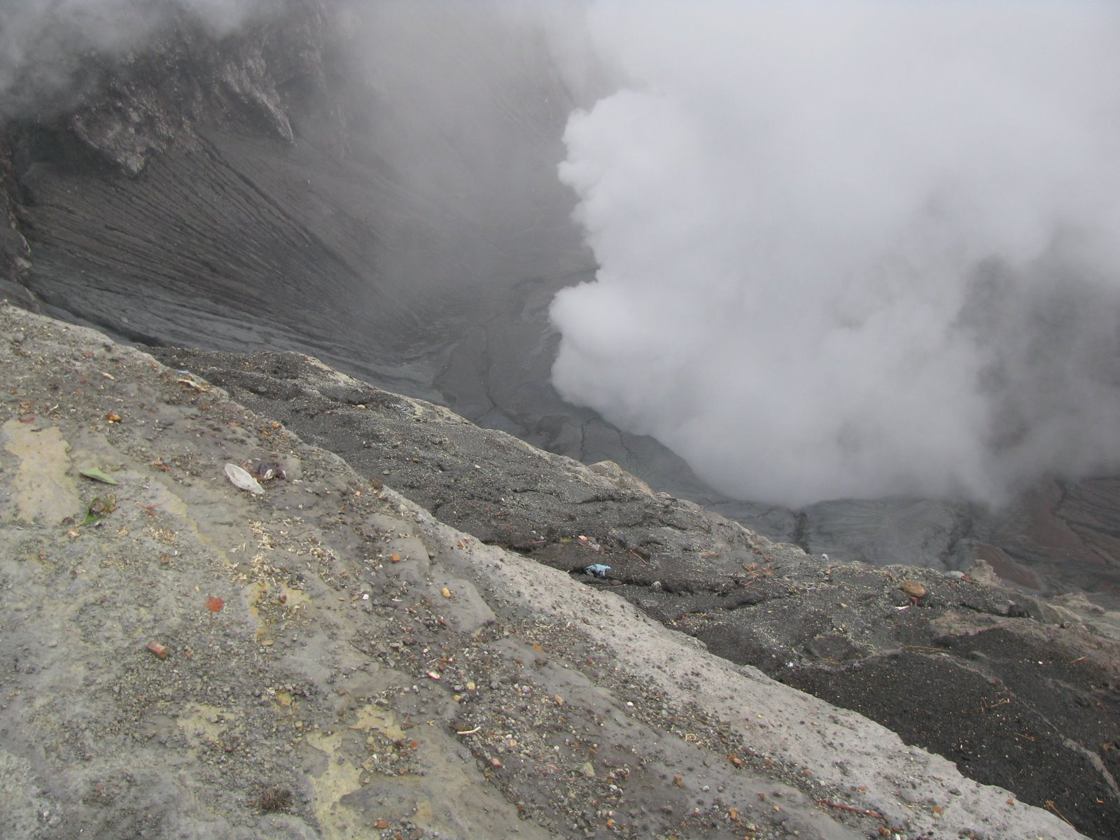 [IMG_5337.JPG]