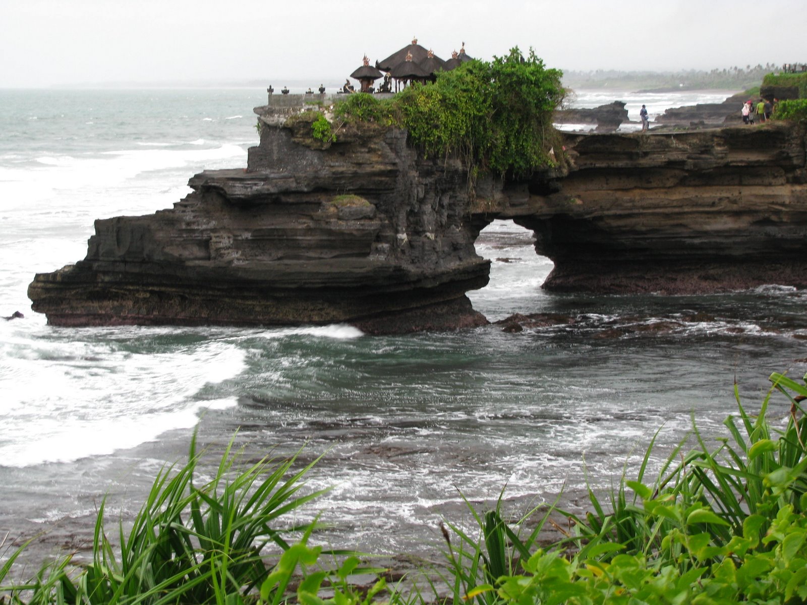 [IMG_5542.JPG]