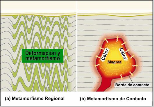 [metamorfismo.JPG]