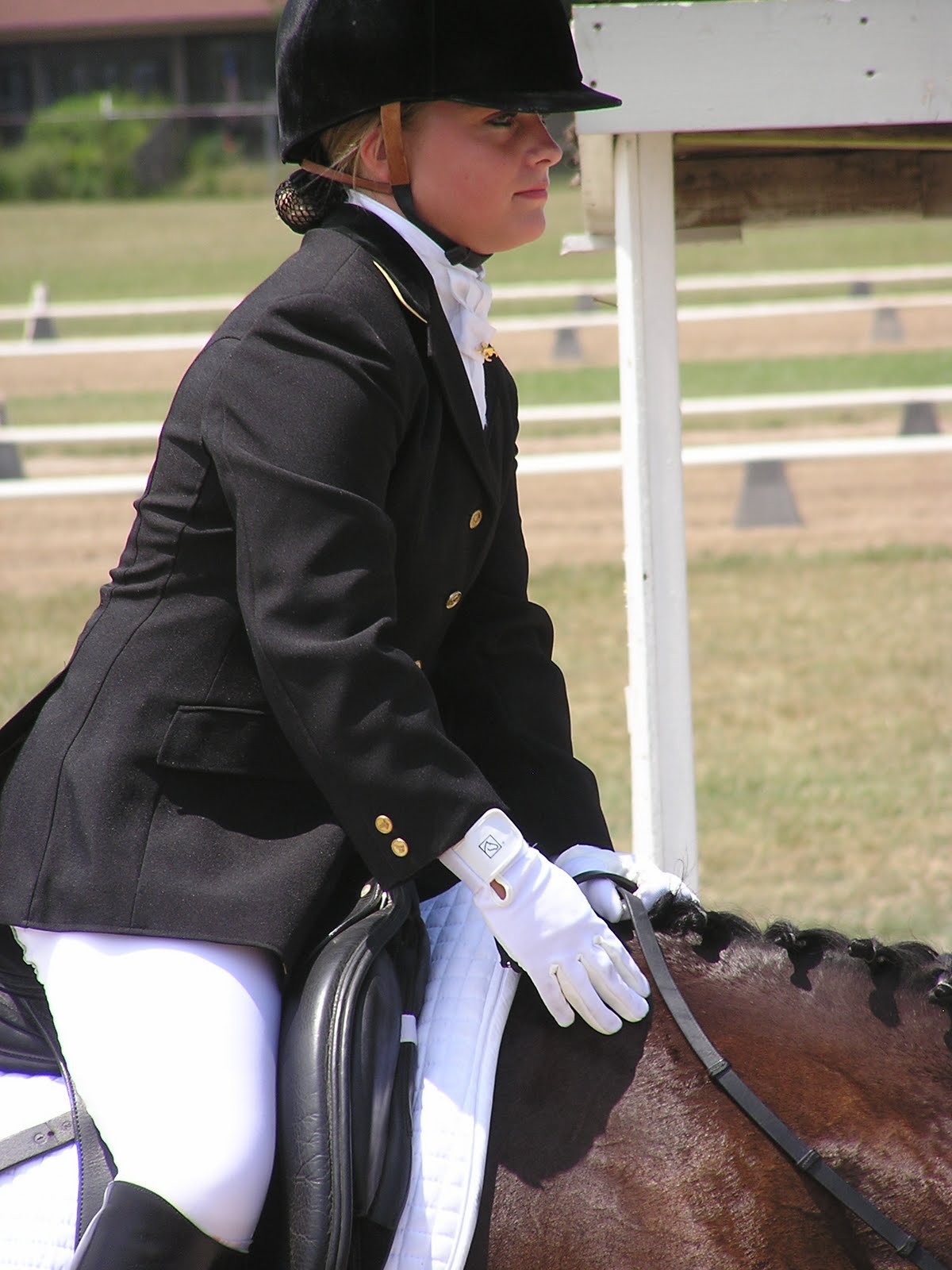 Sonshine Saddlery Dressing For Dressage Lower Level