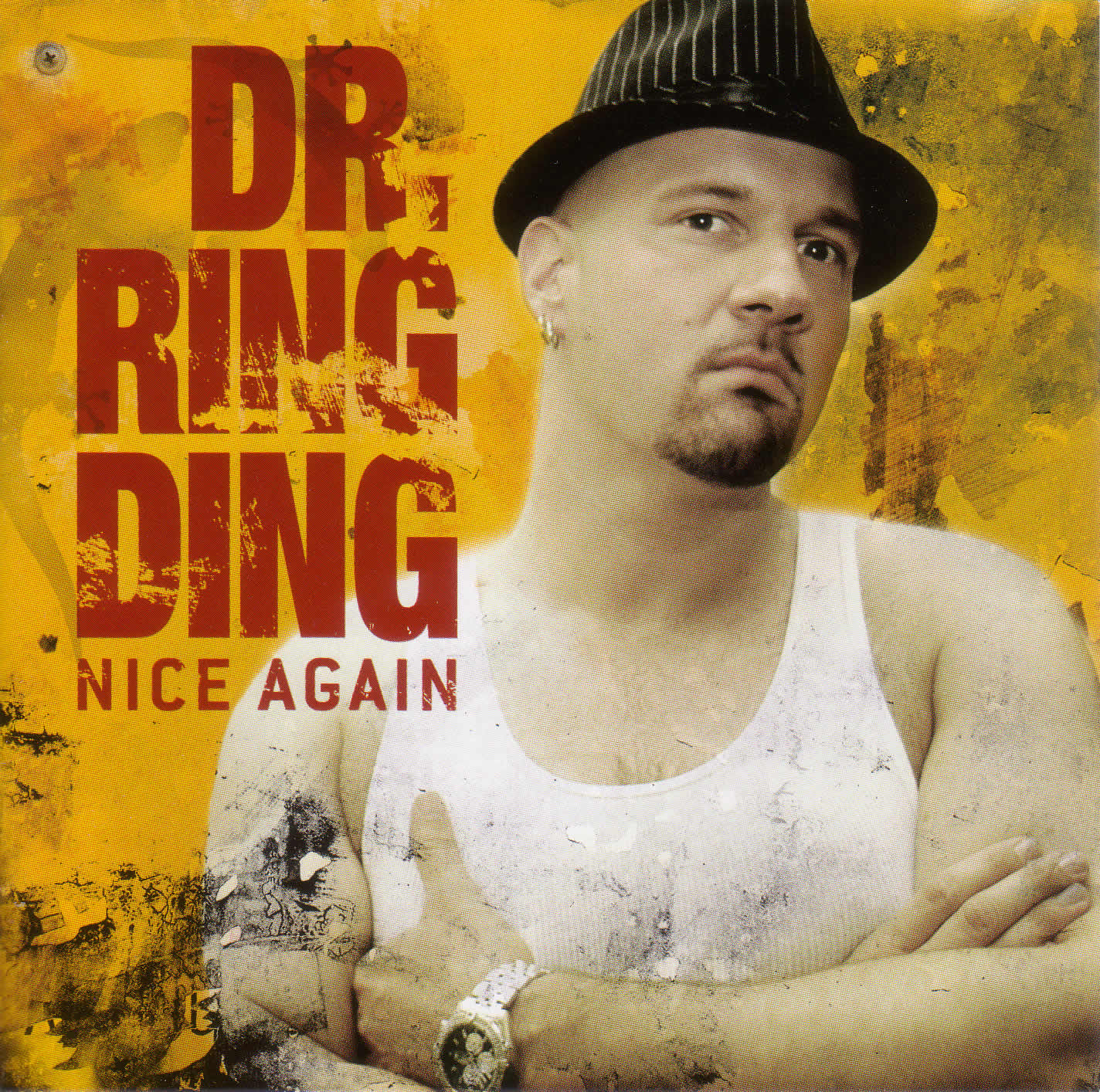 [00-dr._ring_ding-nice_again-2007-cover.jpg]