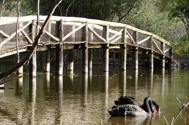 fotos jardim botanico porto alegre:Por Dentro em Rosa: Jardim Botânico de Porto Alegre fotos jardim botanico porto alegre:Por Dentro em Rosa: Jardim Botânico de Porto Alegre
