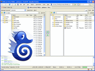 fireFTP Conectar FTP sin programas II