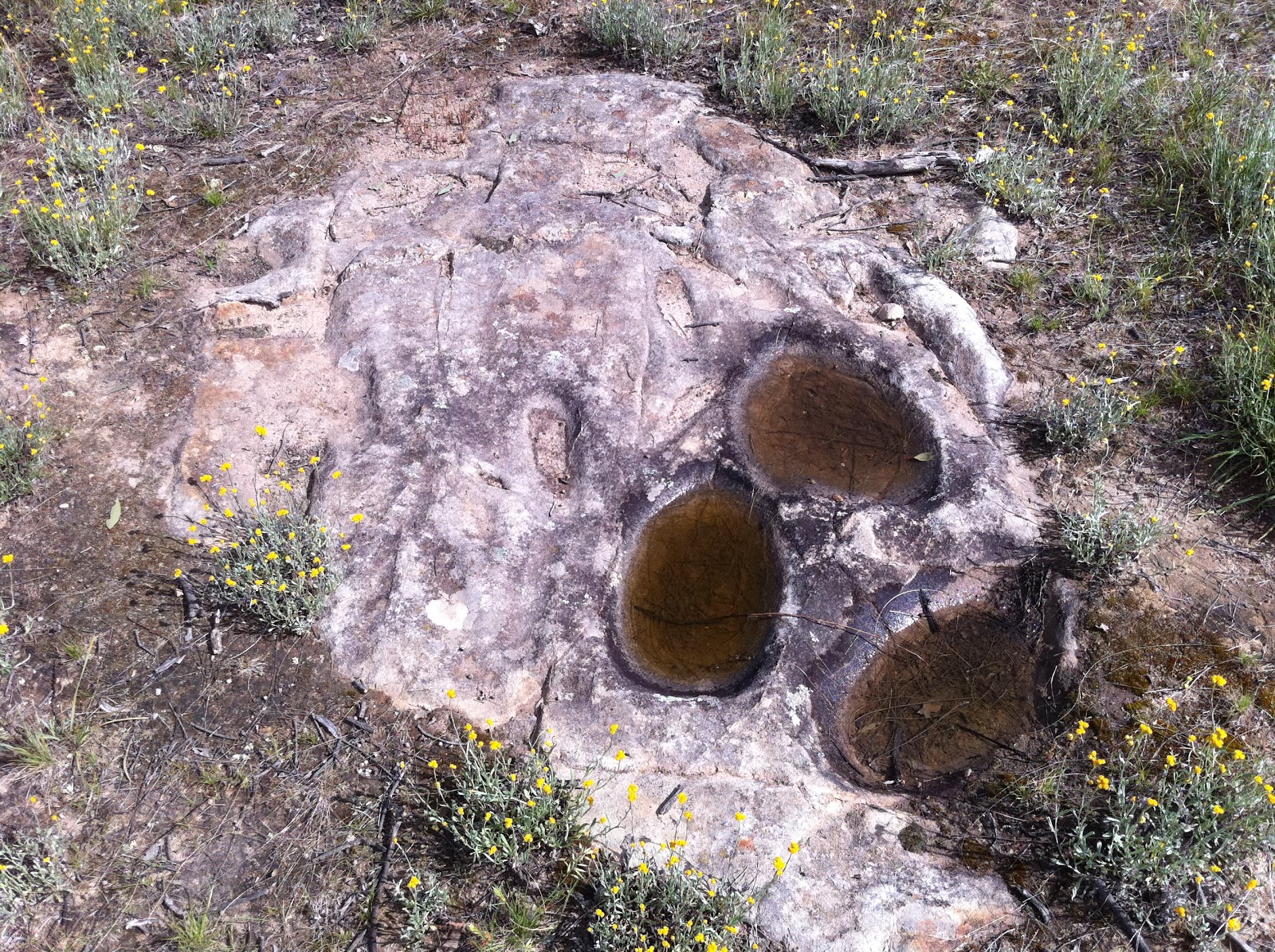 Dave's ACT ABORIGINAL GRINDING GROOVES VIDEO