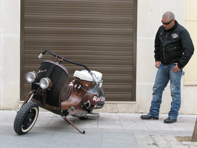 Rat Vespa
