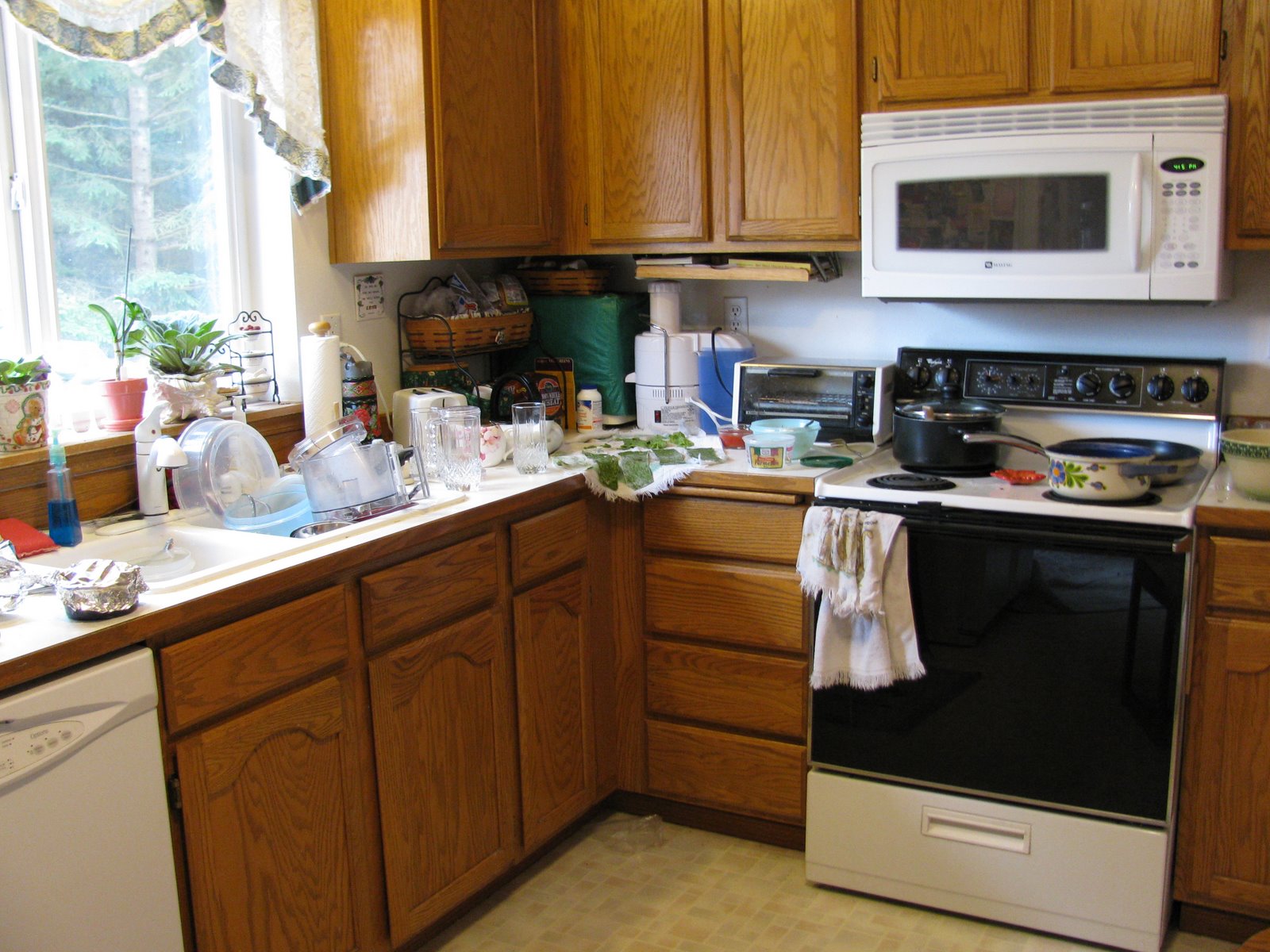 [lasagna+kitchen.JPG]