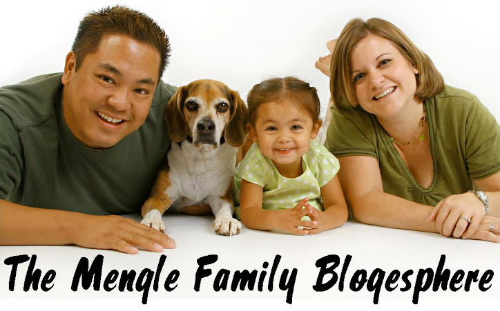 The Mengle Family Blogesphere