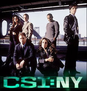 CSI: New York Watch+csi+new+york+s06e04+season+6+episode+4+online+604+video+stream+torrent+download