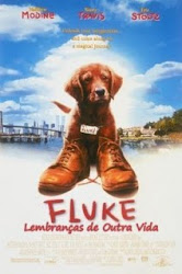 Capa do Filme Fluke Lembranças de Outra Vida (Dublado) Baixe imagem de Fluke Lembranças de Outra Vida (Dublado) sem Torrent