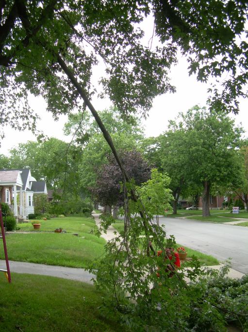 [DSCN1161.JPG]