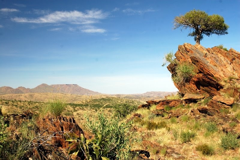 Desktop Wallpaper Wallpaper Kostenlos Animierte Wallpaper Afrika Fotos Und Bilder Aus Namibia Landschaften