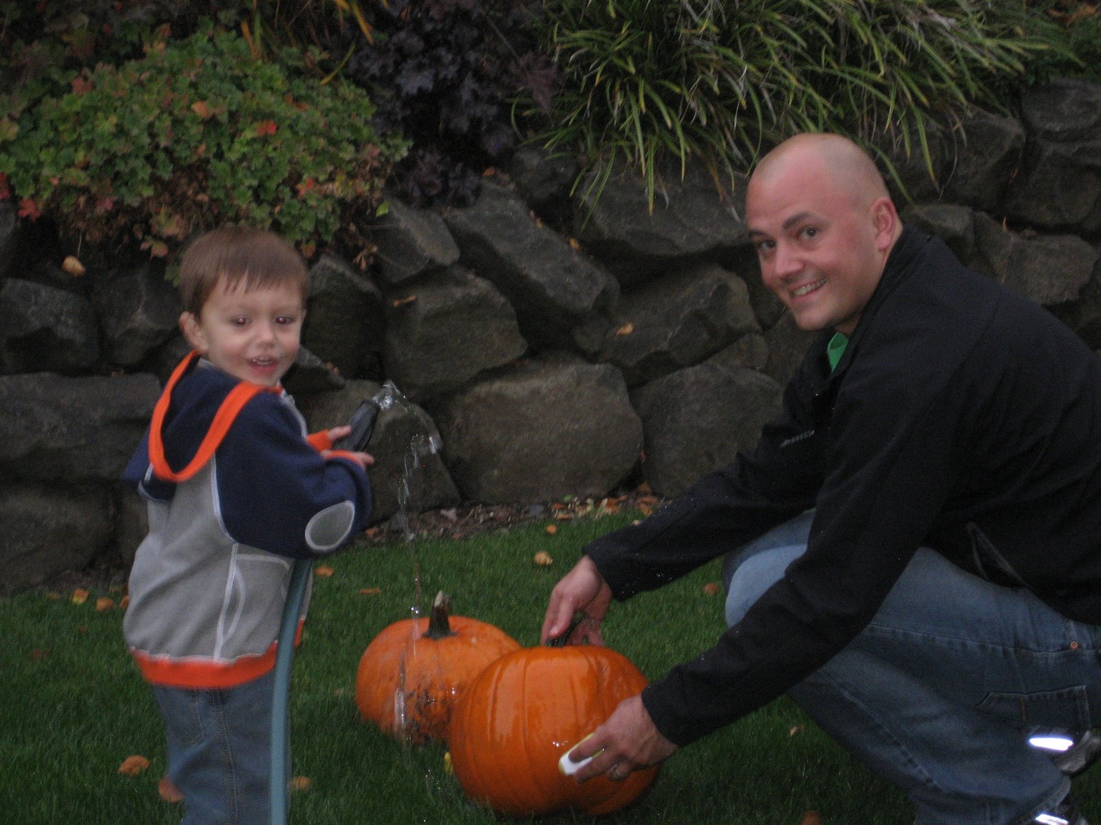 [pumpkin+patch+057.jpg]