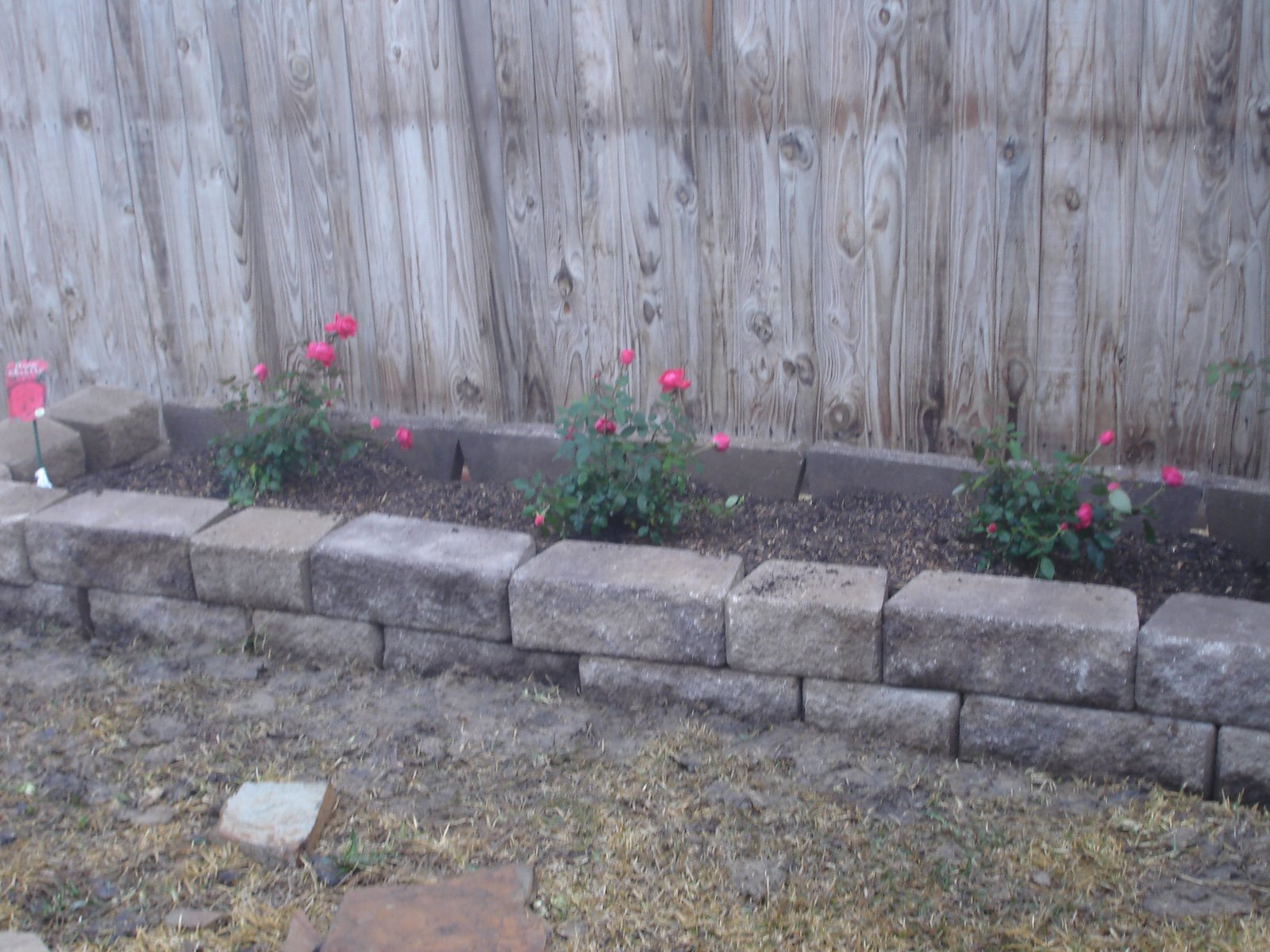 [DSC02080.JPG]