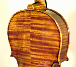 Violino, 2008
