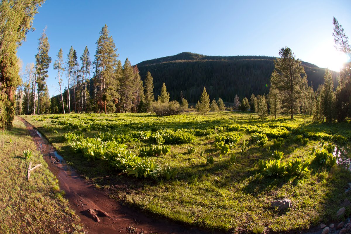 What's Up with Michael I Can't Help Myself